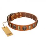 "Strike of Rock" FDT Artisan Tan Leather Amstaff Collar with Plates and Medallions with Skulls