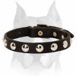 Amstaff Leather Dog Collar with Half-Ball Studs