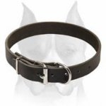 Classic Leather Dog Collar for Amstaff