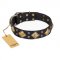 "Fancy-Schmancy" FDT Artisan Studded Leather Amstaff Collar