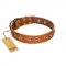 "Precious Relic" FDT Artisan Tan Leather Amstaff Collar Adorned with Old Bronze Look Studs