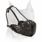 Compact Leather Muzzle for American Staffordshire Terrier