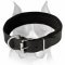 Super Felt Padded Leather Dog Collar for Amstaff
