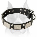 Fancy War Dog Leather Collar with Nickel Plated Decorations for Amstaff