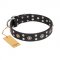 "Refined Essence" FDT Artisan Black Leather Amstaff Collar with Silvery Studs