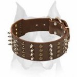 Outstanding Leather Dog Collar with spikes and studs for your Amstaff