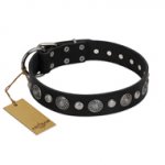 "Vintage Elegance" FDT Artisan Black Leather Amstaff Collar with Engraved Brooches and Studs