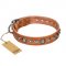 "Daily Chic" FDT Artisan Tan Leather Amstaff Collar with Decorations