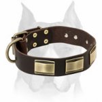 "Vogue Mania" Amstaff Vintage Style Leather Collar with Brass Plates