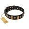 "Venerable Pawty" FDT Artisan Black Leather Amstaff Collar with Old Bronze-like Ovals and Studs