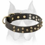 Amstaff Pure Leather Dog Collar with Brass-Plated Decorations and Buckle