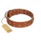 "Dreamy Gleam" FDT Artisan Tan Leather Amstaff Collar Adorned with Stars and Squares