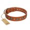 "Natural Beauty" FDT Artisan Tan Leather Amstaff Collar with Shining Silver-like Studs
