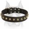 Amstaff breed Fashionable Exclusive Wide Leather Dog Collar