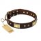 "Rich Fashion" FDT Artisan Decorated Leather Amstaff Collar with Plates and Studs