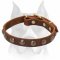Amstaff Puppy Leather Dog Collar with 1 Row of Half-Ball Studs