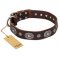 "Extra Pizzazz" FDT Artisan Adorned Brown Leather Amstaff Collar