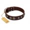 "Choco Brownie" FDT Artisan Brown Leather Amstaff Collar Adorned with Silver-Like Conchos