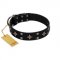 "Snappy Dresser" FDT Artisan Black Leather Amstaff Collar Adorned with Stars and Tiny Squares