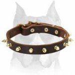 Top Quality Spiked Leather Amstaff Dog Collar