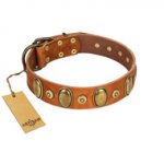"Crystal Sand" FDT Artisan Tan Leather Amstaff Collar with Vintage Looking Oval and Round Studs