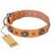 "Twinkle Twinkle" FDT Artisan Incredible Studded Tan Leather Amstaff Collar