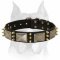 "Haute Couture" Amstaff Leather Collar with Plates and Spikes