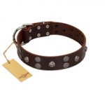 "Skull Valley" Handcrafted FDT Artisan Brown Leather Amstaff Collar with Skulls