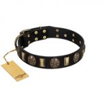 "Sea Romance" FDT Artisan Black Leather Amstaff Collar with Plates and Skulls