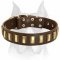 Fabulous Design Leather Dog Collar for Amstaff Breed