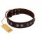 "King Arthur" FDT Artisan Brown Leather Amstaff Collar with Spiky Plates