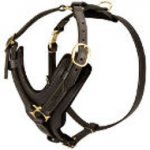 Amstaff Exclusive Luxury Handcrafted Padded Leather Dog Harness