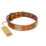 "Ancient Treasures" FDT Artisan Tan Leather Amstaff Collar with Antiqued Plates and Studs