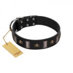 "Pirates' Symbol" Fashionable FDT Artisan Black Leather Amstaff Collar with Silver-Like Plates and Gold-Like Skulls