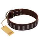 "Brown Lace" Handmade FDT Artisan Brown Leather Amstaff Collar for Everyday Walks