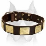 Excellent Amstaff Leather Dog Collar with Vintage Plates