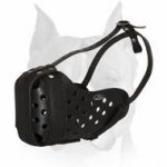 Leather Agitation Police Dog Muzzle-Amstaff TRAINING MUZZLE