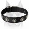 Conchos Designed Extra Wide Nylon Dog Collar for Amstaff
