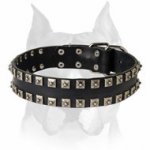 Amstaff Leather Dog Collar with Stylish Decorations