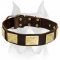 Excellent Amstaff Leather Dog Collar with Vintage Plates