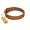 "Terra-cotta" FDT Artisan Tan Leather Amstaff Collar with Two Rows of Studs