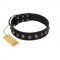 "Black Knight" Handmade FDT Artisan Black Leather Amstaff Collar with Silver-Like Studs