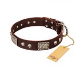 "Pirate Skull" FDT Artisan Brown Leather Amstaff Collar with Old Silver Look Plates and Skulls