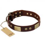 "Shining Armour" FDT Artisan Brown Leather Amstaff Collar with Decorations