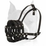 Everyday Lightweight Super Ventilated Amstaff Muzzle