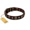 "Snazzy Paws" FDT Artisan Brown Leather Amstaff Collar Adorned with Conchos and Medallions