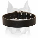 Wide and Solid Leather Dog Collar for Amstaff Breed
