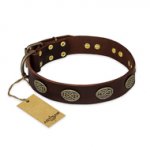 "Chocolate kiss" FDT Artisan Leather Amstaff Collar with Old Bronze Look Oval Plates