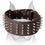 Amstaff Extra-Large 3 Inch Leather Dog Collar with Spikes
