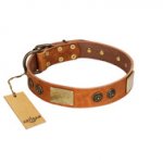 "Bronze Century" FDT Artisan Tan Leather Amstaff Collar with Plates and Brooches with Cool Ornament
